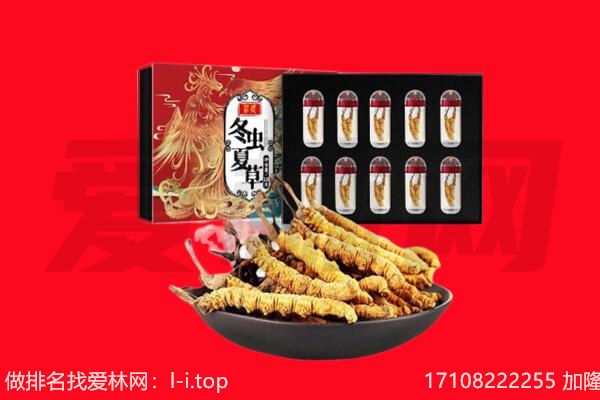 亳州市蒙城回收虫草.jpg